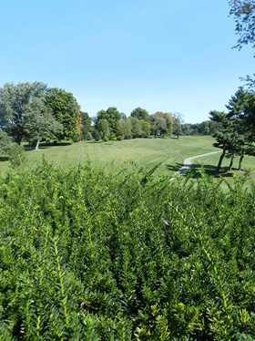 Hole 5 at Legacy Hills Golf Club
