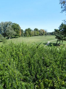 Perfect Your Game: Legacy Hills’ Practice Facilities in Northern Indiana